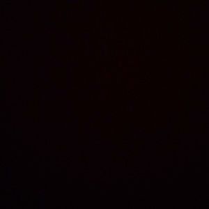 Meet your Posher, Madi